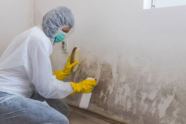 Best Forensic Mold Investigation  in Beverly, MA