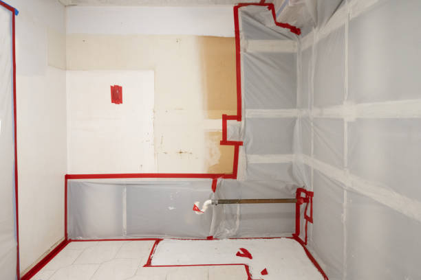 Reliable Beverly, MA Mold Removal Solutions