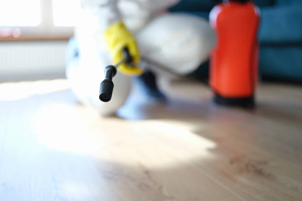 Best Air Quality Testing for Mold Spores  in Beverly, MA