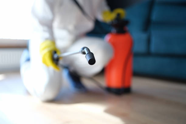 Best Emergency Mold Remediation  in Beverly, MA