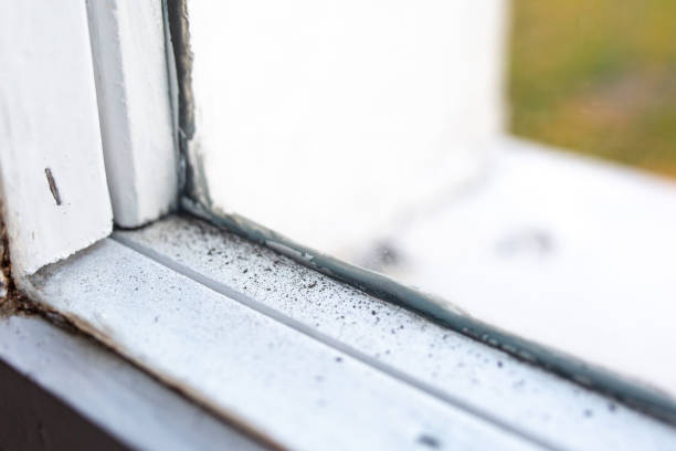 Best Real Estate Mold Inspection  in Beverly, MA
