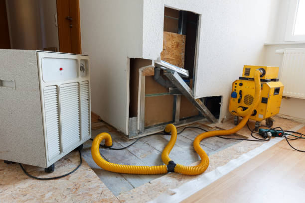 Best Airborne Mold Testing  in Beverly, MA