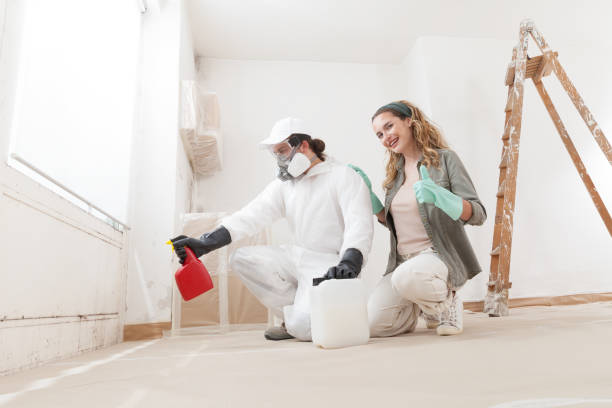 Best Water Damage & Mold Remediation  in Beverly, MA