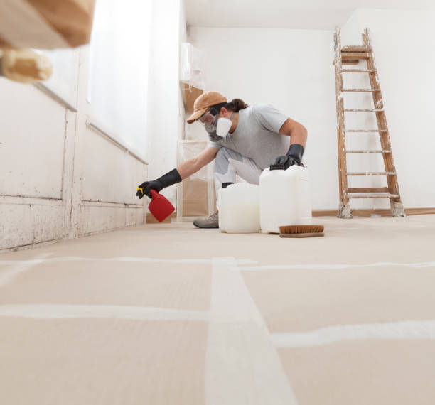 Best Emergency Mold Remediation  in Beverly, MA
