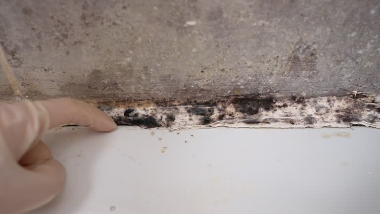 Best Post-Remediation Verification Testing  in Beverly, MA