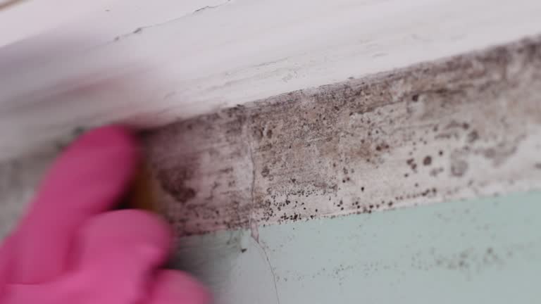 Best HVAC Mold Inspection and Cleaning  in Beverly, MA